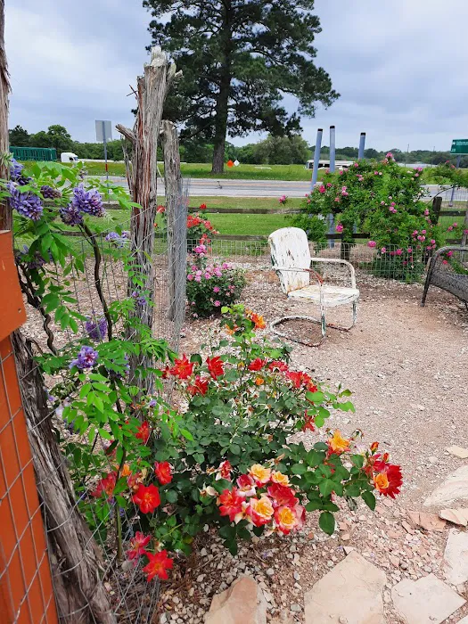 Whispering Oaks RV Park Picture 4