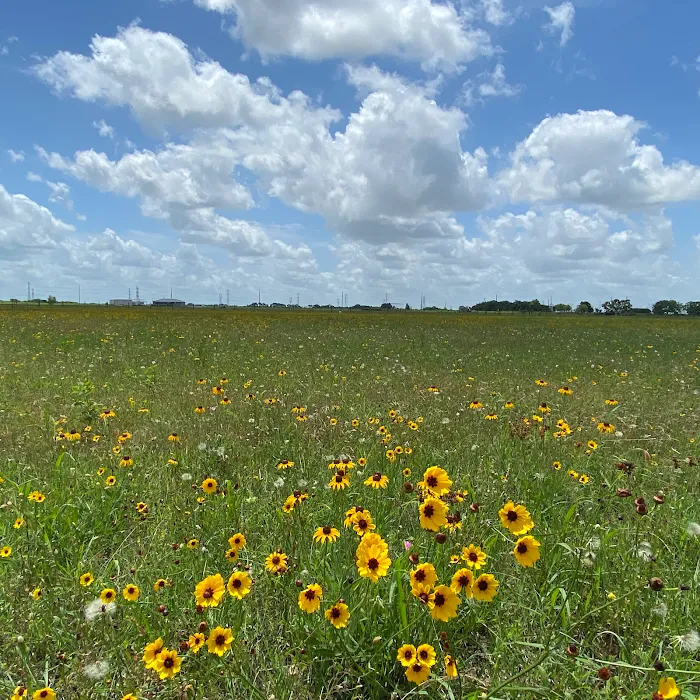 Country Living RV Park Wharton Picture 4
