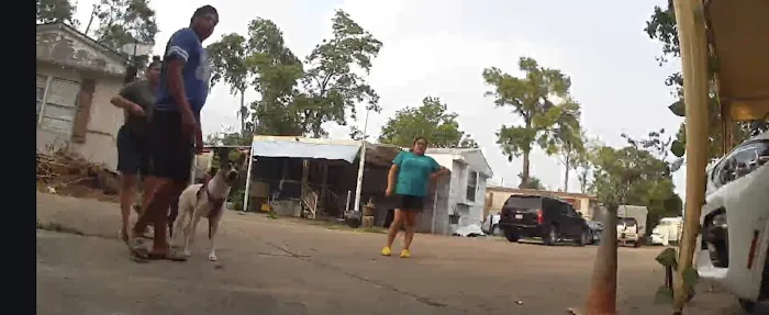 Spring Branch Mobile Home Park Picture 4