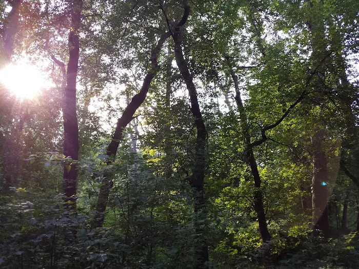 Lindenwood Campground Picture 9