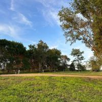 Sand Lake Campground ico
