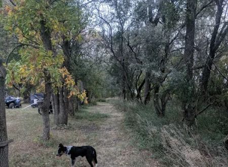 Primitive Campground