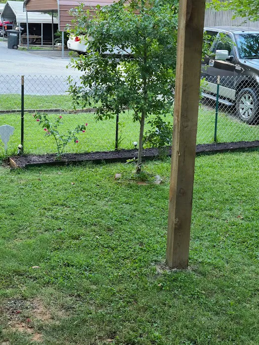 North Pines Picture 4