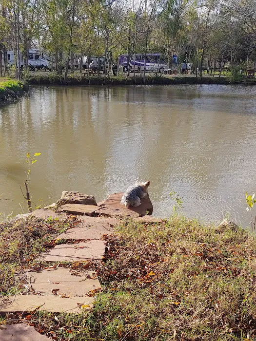 Sugar Land RV Park Picture 10
