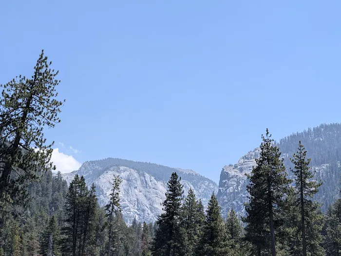 Lodgepole Campground Picture 4