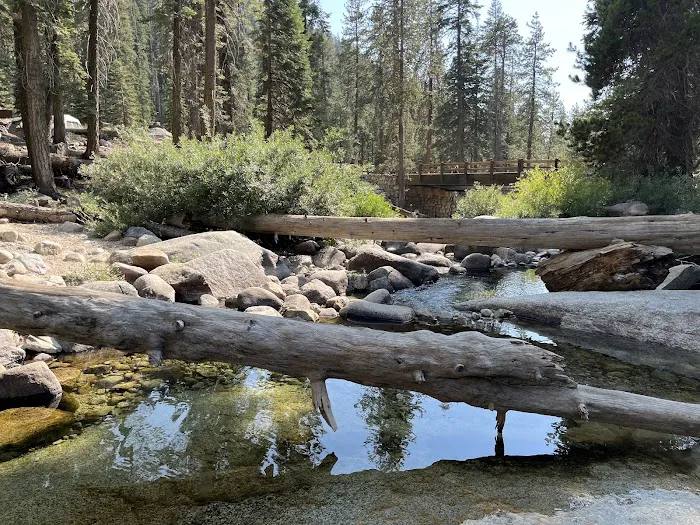 Lodgepole Campground Picture 1