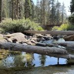 Lodgepole Campground