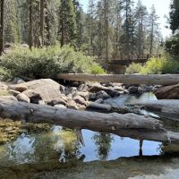 Lodgepole Campground ico