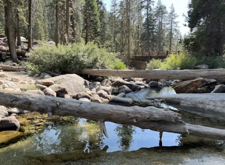 Lodgepole Campground