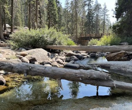 Lodgepole Campground