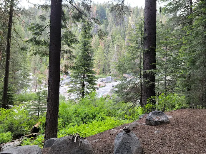 Lodgepole Campground Picture 8