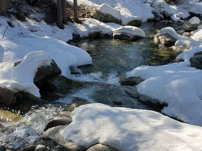 Lodgepole Campground Picture 5