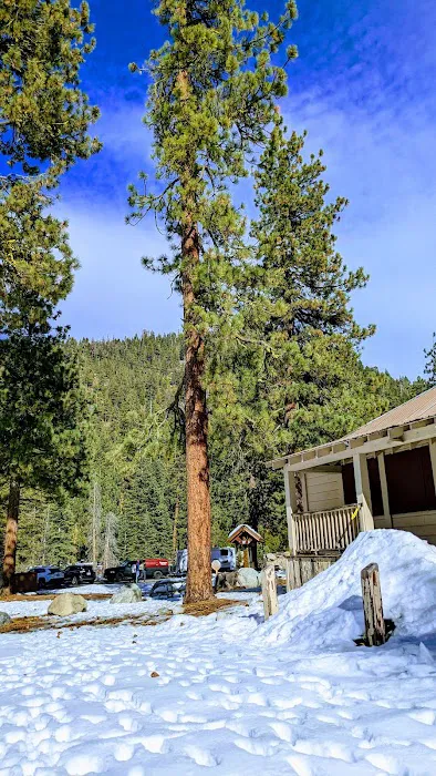 Lodgepole Campground Picture 9