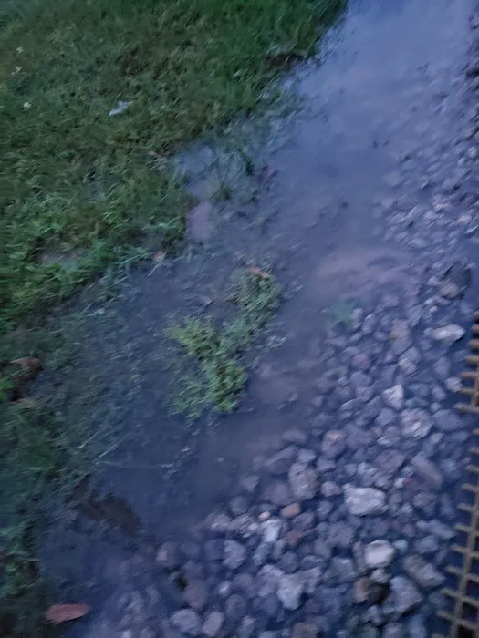 Porter RV Park Picture 10