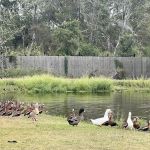 Cunningham Cove RV Park