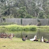 Cunningham Cove RV Park ico