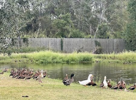 Cunningham Cove RV Park
