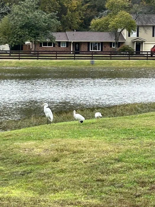 Cunningham Cove RV Park Picture 9
