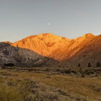Convict Lake Campground ico