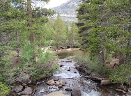 Rock Creek Lake Campground
