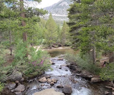 Rock Creek Lake Campground