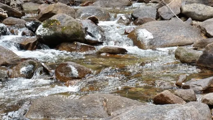 Rock Creek Lake Campground Picture 9