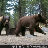 Sherwin Creek Campground ico