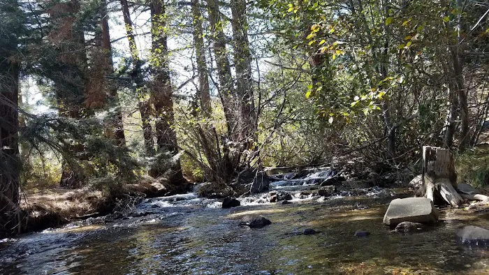 Sherwin Creek Campground Picture 5