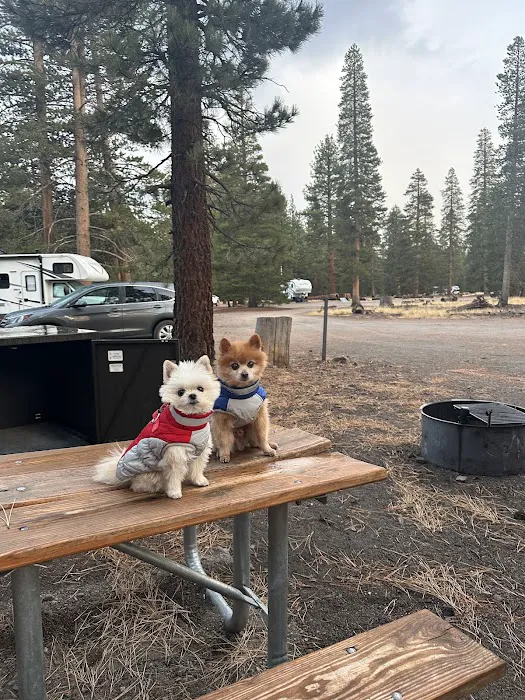 Glass Creek Campground, Inyo NF Picture 1