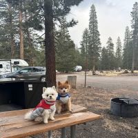 Glass Creek Campground, Inyo NF ico