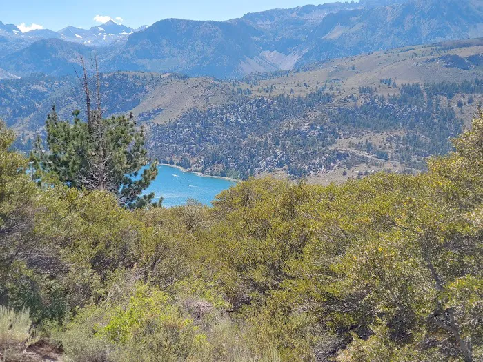 Glass Creek Campground, Inyo NF Picture 6