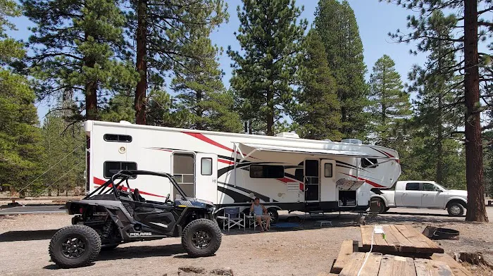 Glass Creek Campground, Inyo NF Picture 5