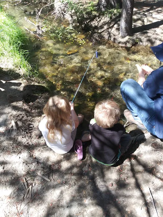 Glass Creek Campground, Inyo NF Picture 8