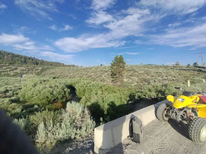 Glass Creek Campground, Inyo NF Picture 10