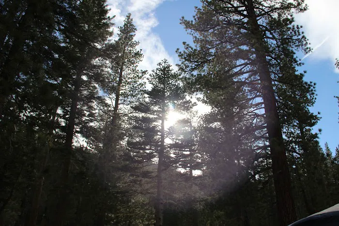 Hartley Springs Campground Picture 4