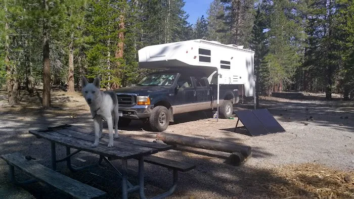 Hartley Springs Campground Picture 8