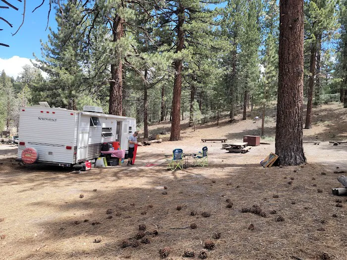 Big Springs Campground Picture 2