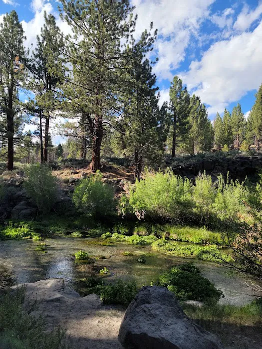 Big Springs Campground Picture 1