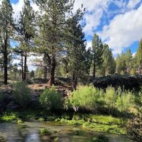Big Springs Campground ico