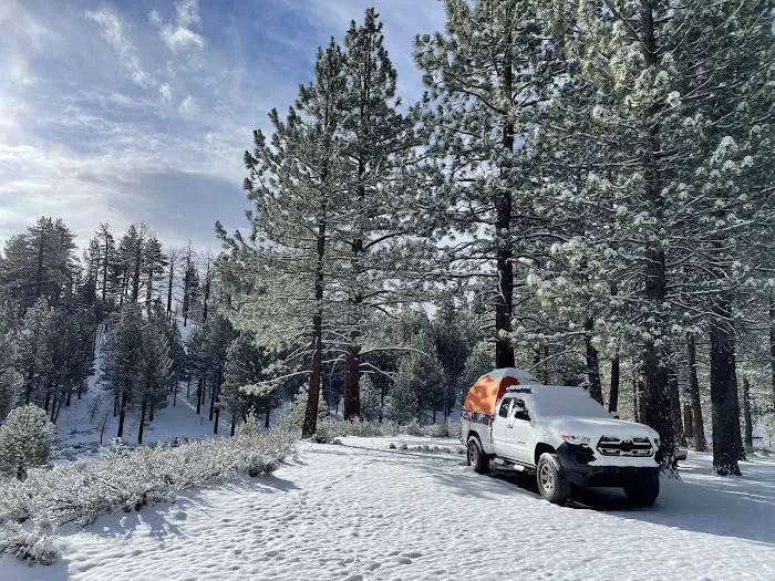 Big Springs Campground Picture 4