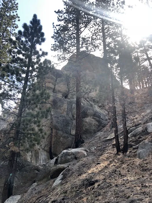 Big Springs Campground Picture 8