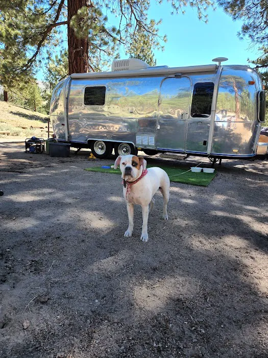 Big Springs Campground Picture 9