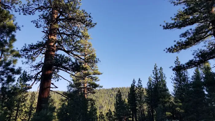 Big Springs Campground Picture 7