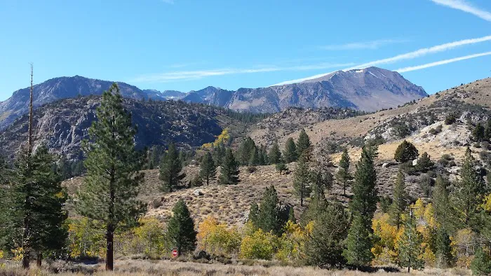 Reversed Creek Campground Picture 1