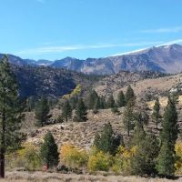 Reversed Creek Campground ico