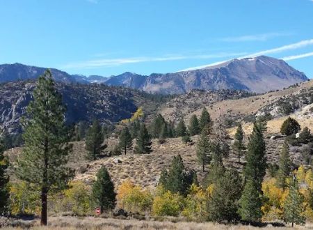 Reversed Creek Campground