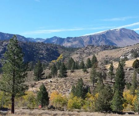 Reversed Creek Campground