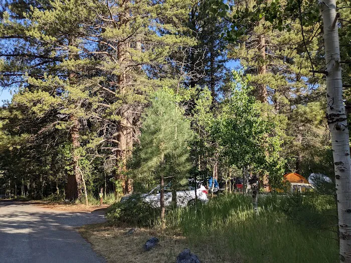 Reversed Creek Campground Picture 2
