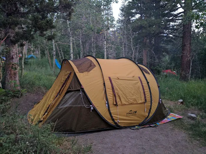 Reversed Creek Campground Picture 6