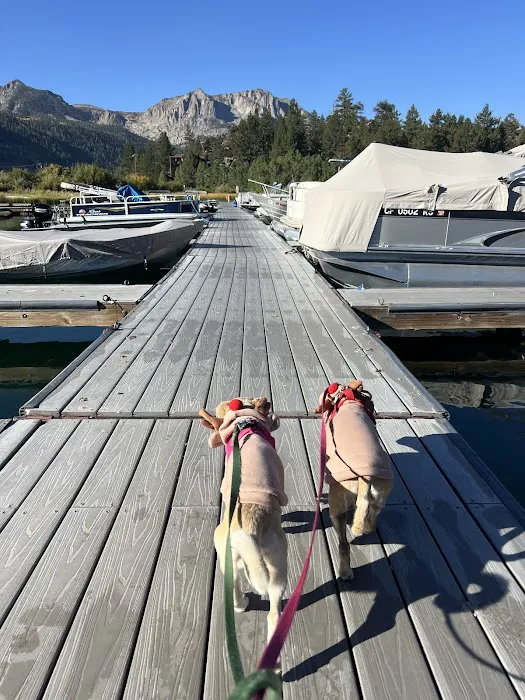 June Lake Campground Picture 1